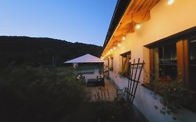 Daglezja